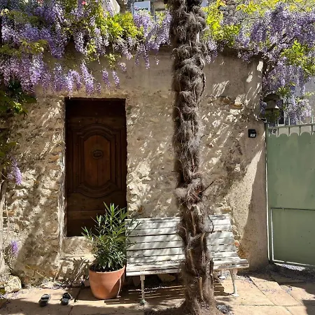 Chez Les Filles Dions