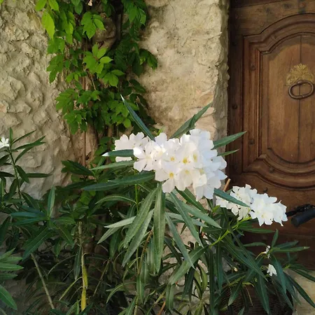 ベッド・アンド・ブレックファスト Chez Les Filles Dions