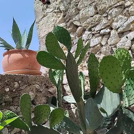 Chez Les Filles 3* Dions