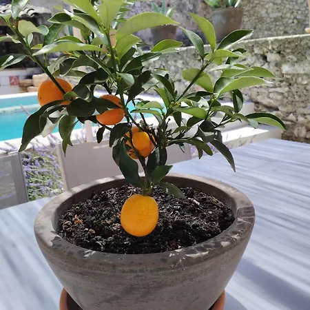 ベッド・アンド・ブレックファスト Chez Les Filles 3*