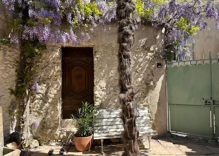 Chez Les Filles Dions