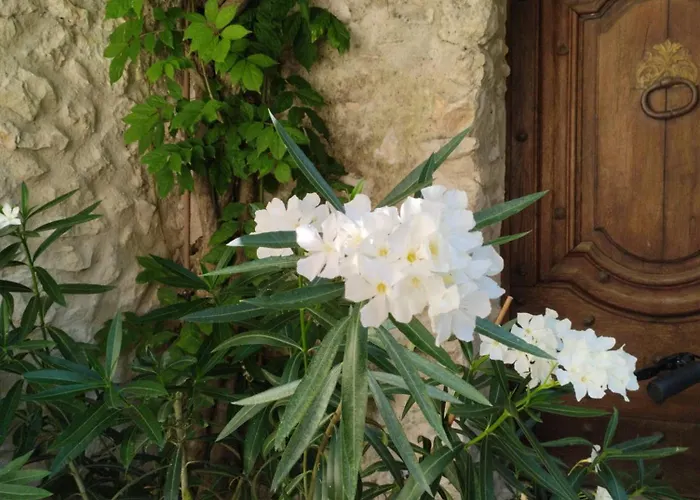 לינה וארוחת בוקר Chez Les Filles Dions