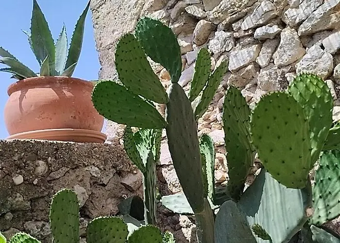 Chez Les Filles 3* Dions