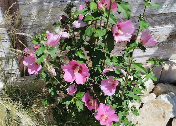 Chez Les Filles לינה וארוחת בוקר